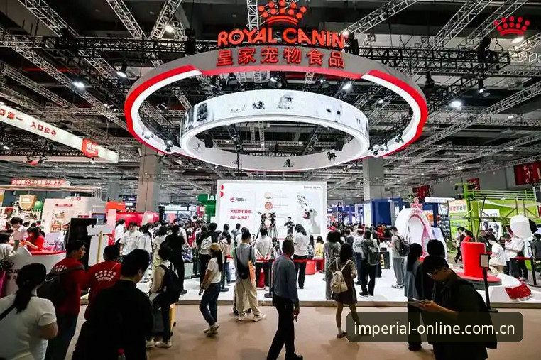 皇家国际娱乐在线平台焕新亮相快速访问 皇家国际平台焕新亮相全面评测:避坑指南与新首页使用体验